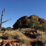 Outback 07 - Trockene Landschaft am Kings Canyon Rim Walk - IMG_5233