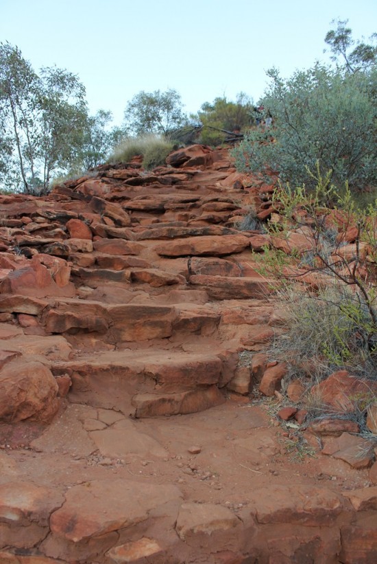 Outback - Kings Canyon Rim Walk - Heartattack Hill - IMG_5132