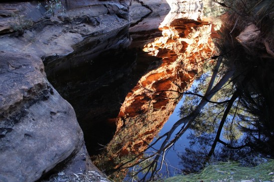 Outback - Wasserloch im Kings Canyon - IMG_5325