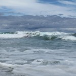 Mornington Peninsula Exkursion 14 - Portsea - Riesige Wellen Mornington Peninsula Exkursion 14 - Portsea - Riesige Wellen