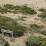 Mornington Peninsula Exkursion 15 - Portsea - Naturschutz Mornington Peninsula Exkursion 15 - Portsea - Naturschutz