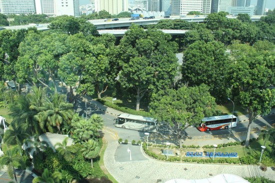 Singapur - Straße mit Palmen Singapur - Straße mit Palmen