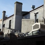 Melbourne Queen Victoria Market 06 - Möwen - IMG_0439 Melbourne Queen Victoria Market 06 - Möwen