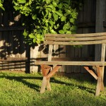 Herbst in Melbourne 22 - Gartenbank in der Abendsonne - IMG_1606 Herbst in Melbourne 22 - Gartenbank in der Abendsonne - IMG_1606