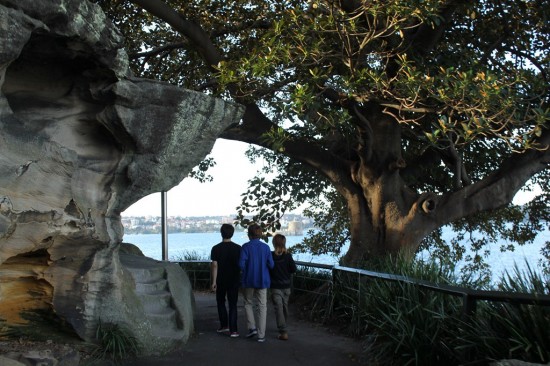 Sydney Camp 14 - Mrs Macquarie's Chair - IMG_1025 Sydney Camp 14 - Mrs Macquarie's Chair - IMG_1025