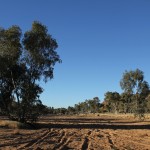 Alice Springs - Dry Todd River Bed - IMG_4178 Alice Springs - Dry Todd River Bed - IMG_4178