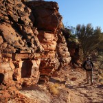 Outback 01 - Felsen wie Bienenwaben am Kings Canyon Rim Walk - IMG_5154