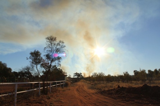 Outback - Buschfeuer - IMG_5036