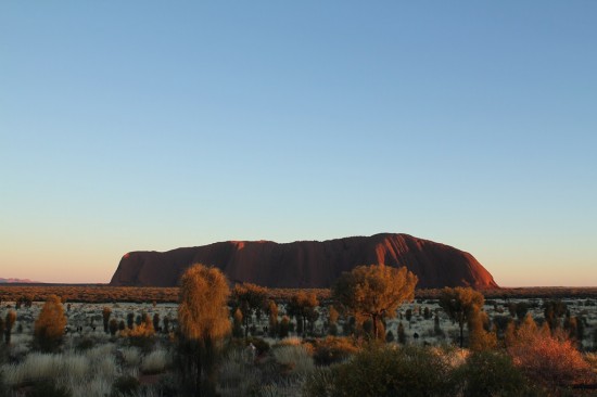 Outback - Sonnenaufgang am Uluru Ayers Rock - IMG_4715