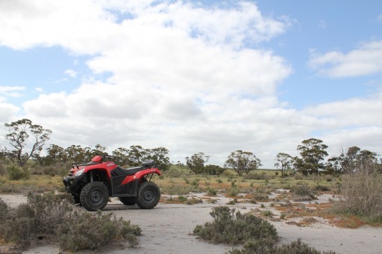 Off-roading The Block - Quad in the wild - IMG_6277 Off-roading The Block - Quad in the wild - IMG_6277