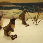 Phillip Island Chocolate Factory 01 - Penguins - IMG_5951 Phillip Island Chocolate Factory 01 - Penguins - IMG_5951