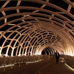 Melbourne Docklands Webb Bridge at night - IMG_7118 Melbourne Docklands Webb Bridge at night - IMG_7118