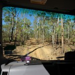 15 4WD track to Twin Falls - IMG_0152 Mit dieser Maschine sind wir dann gleich am nächsten Tag diesen Wege lang gefahren -- keine Schonfrist für den neuen Wagen!