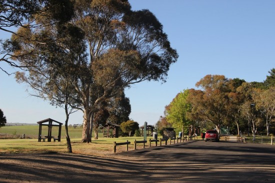01 Edmondson VC Rest Area - Federal Highway - IMG_3629