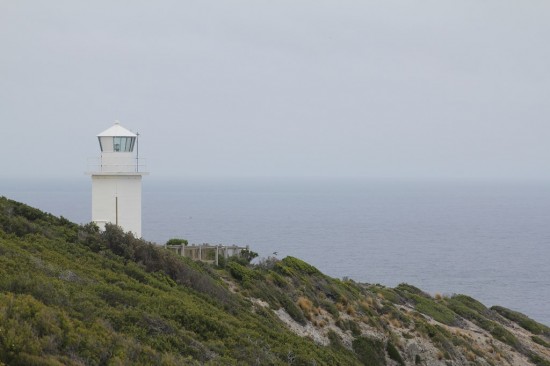 05 Cape Liptrap - IMG_0606